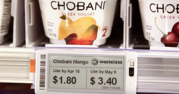 Wasteless Dynamic Discounting