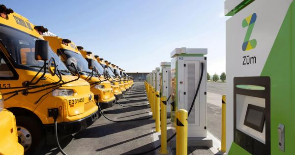 Zum EV School Buses